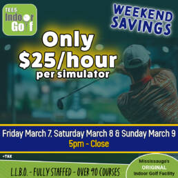 Teesindoorgolf frisatsunspecial mar25